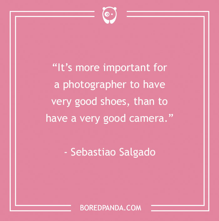 144 Inspiring Photography Quotes To Pause And Take A Photo - 8