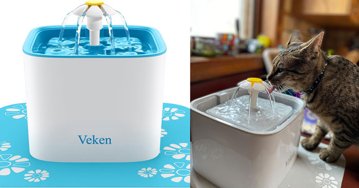 Pet water fountain with flowing water, designed as an effective product to solve annoying pet problems effortlessly.