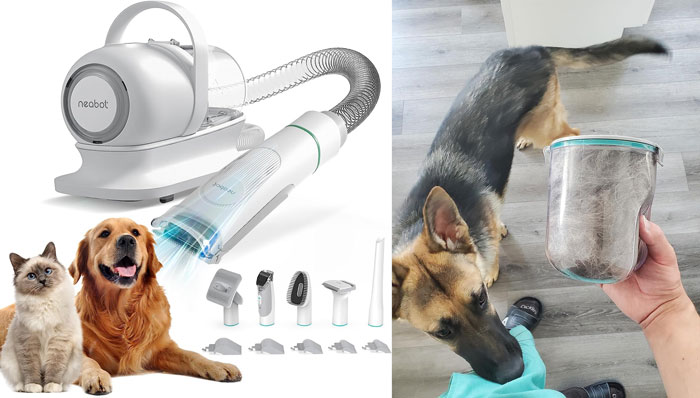 Pet hair vacuum and grooming tools for effective products to solve annoying pet problems effortlessly.