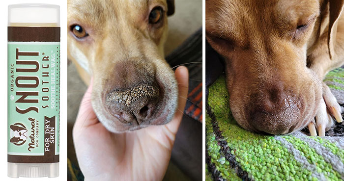 Organic dog snout soother balm for dry skin shown with before and after images of a dog's dry nose healing.