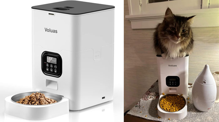 Automatic pet feeder dispensing dry food with a cat sitting on top, showcasing effective products for pet problems.