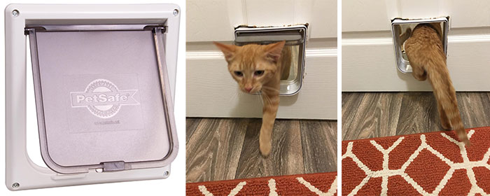 Cat using a pet door designed as one of the effective products to solve annoying pet problems effortlessly.