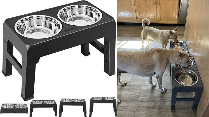 Elevated pet feeding station with stainless steel bowls helping solve annoying pet problems efficiently and comfortably.