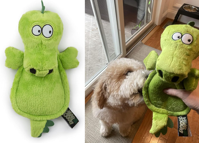 Green plush dog toy shaped like a cartoon alligator, shown alone and being sniffed by a small fluffy dog indoor.
