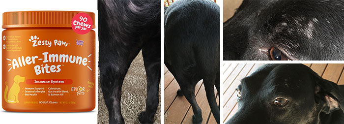 Orange container of Zesty Paws Aller-Immune Bites alongside close-up images of a black dog’s coat and skin.