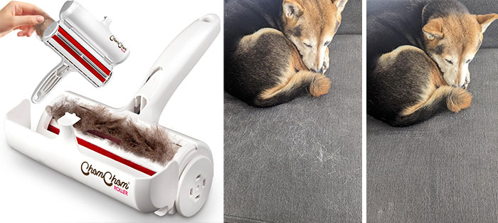 Pet hair remover tool with collected fur, shown cleaning dog hair from couch to solve annoying pet problems effectively.