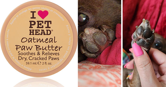 Oatmeal paw butter for pets soothing and relieving dry, c*****d paws, an effective product for pet problems.