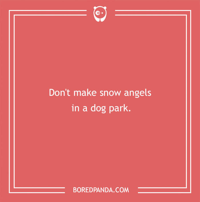 Advice about making snow angels in a dog park