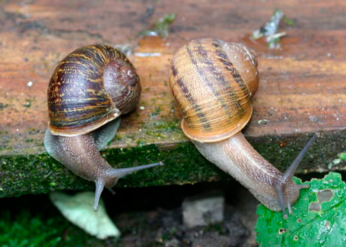 “Did You Know?”: 50 Of The Most Interesting Facts, Presented By Dougie Sharpe (New Facts)