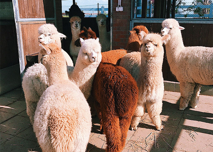 “Did You Know?”: 50 Of The Most Interesting Facts, Presented By Dougie Sharpe (New Facts)