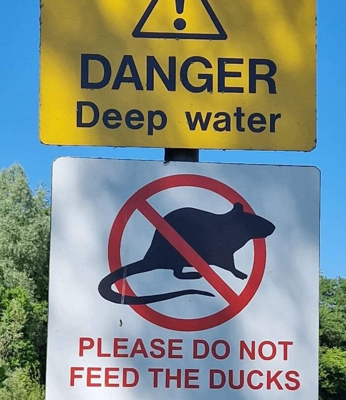 Random-Things-Weird-Places