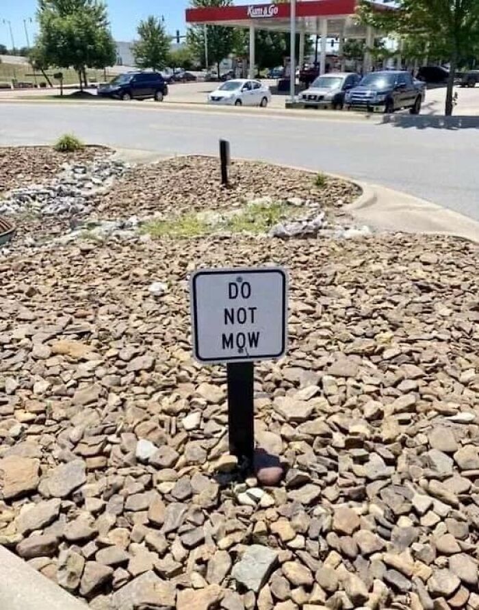 Random-Things-Weird-Places