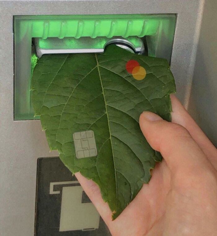 Random-Things-Weird-Places