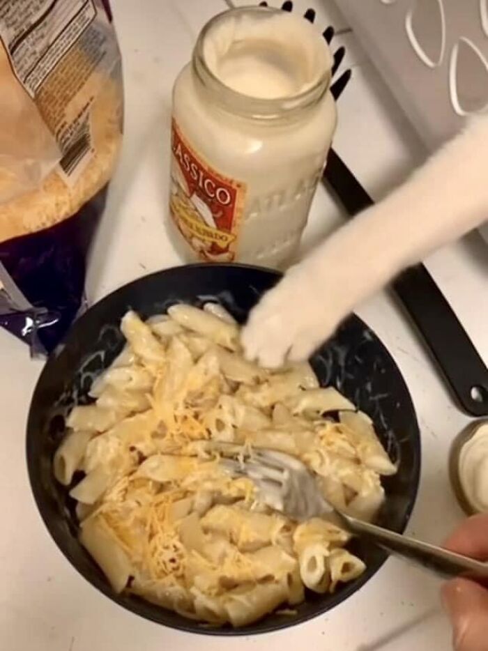 Random-Things-Weird-Places