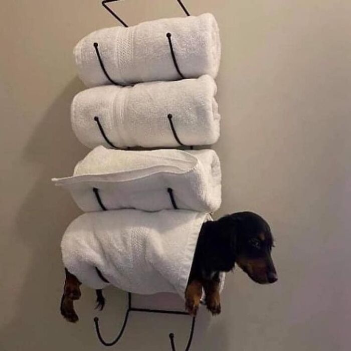 Random-Things-Weird-Places