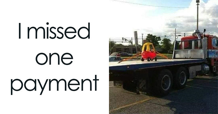 50 ‘Things In Places They Shouldn’t Be’ To Make Your Day Better (New Pics)