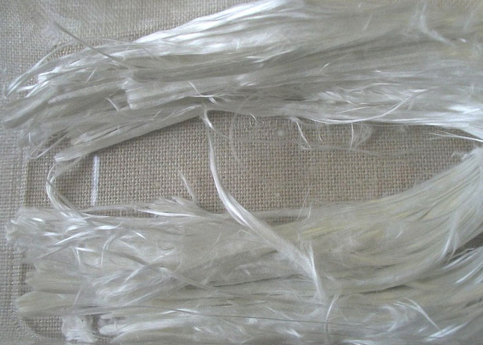 30 People Share The Most Hard-To-Believe Facts That Are Actually True