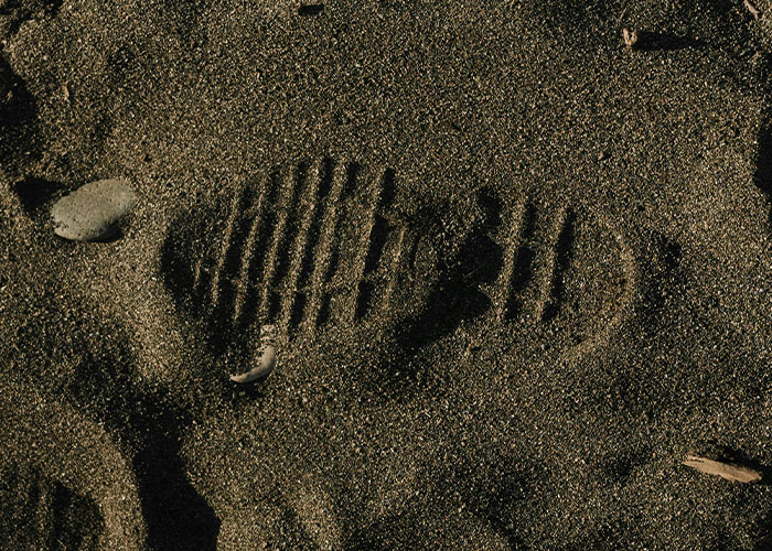 30 People Share The Most Hard-To-Believe Facts That Are Actually True