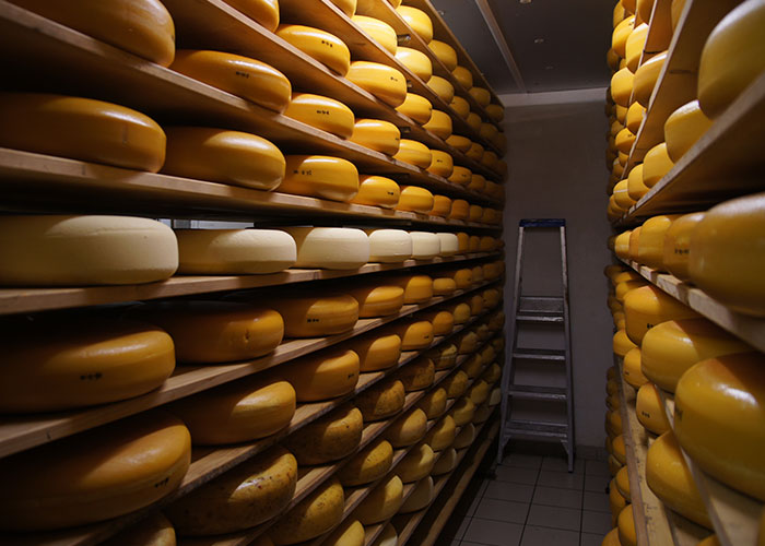 30 People Share The Most Hard-To-Believe Facts That Are Actually True