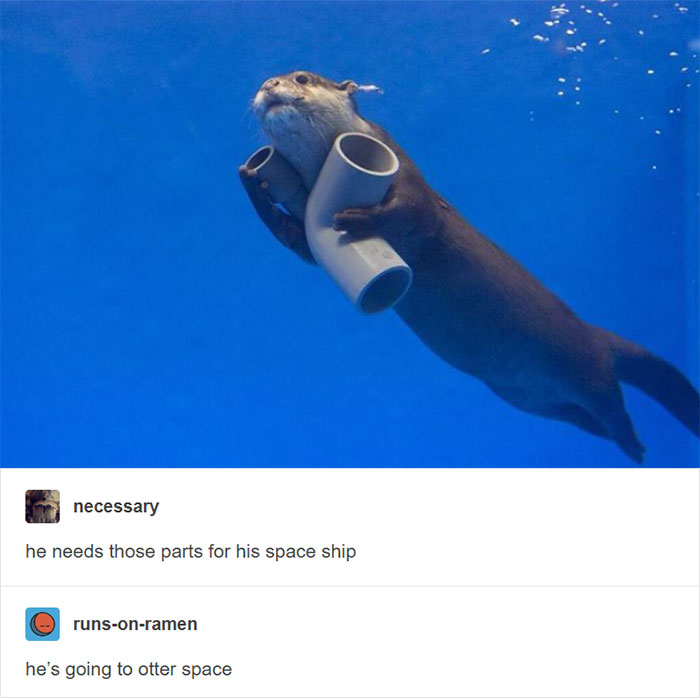 The Usernames Are Cool Too