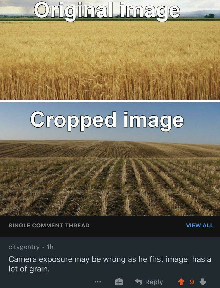 I Think It Belongs Here