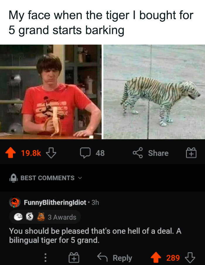 This Is Why I Love Reddit