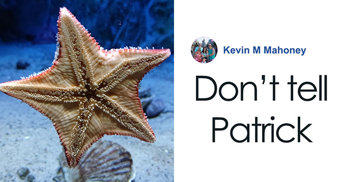 Scientists Discover “Very Weird” Truth About Starfish Heads, Solving Centuries-Old Mystery