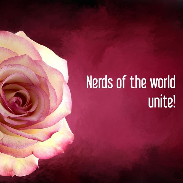 Make A Persuasion Check