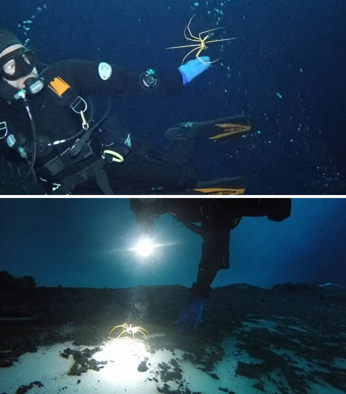 Someone Asks What's The Scariest Thing In The Ocean That Has Photo Evidence, And 30 People Deliver