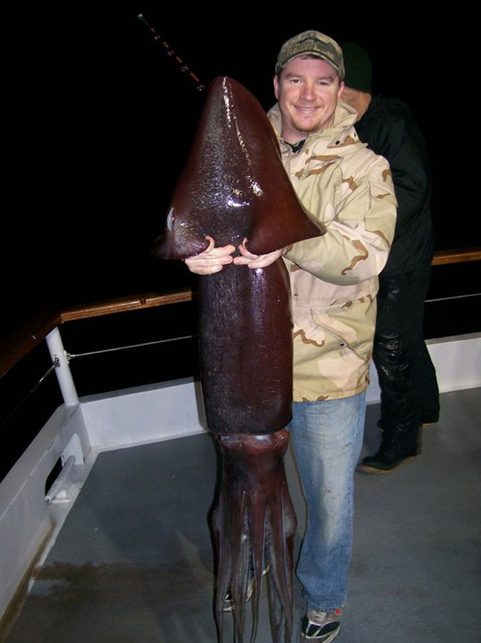 Someone Asks What's The Scariest Thing In The Ocean That Has Photo Evidence, And 30 People Deliver