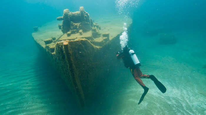 Someone Asks What's The Scariest Thing In The Ocean That Has Photo Evidence, And 30 People Deliver