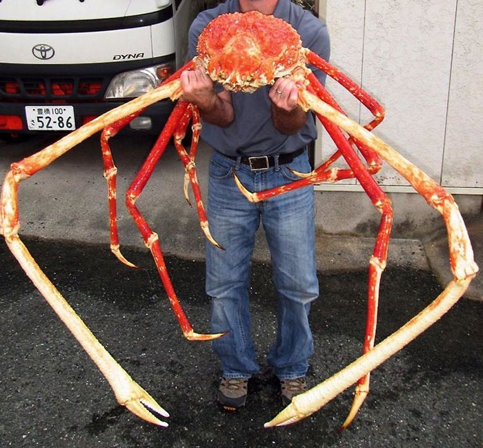 Someone Asks What's The Scariest Thing In The Ocean That Has Photo Evidence, And 30 People Deliver