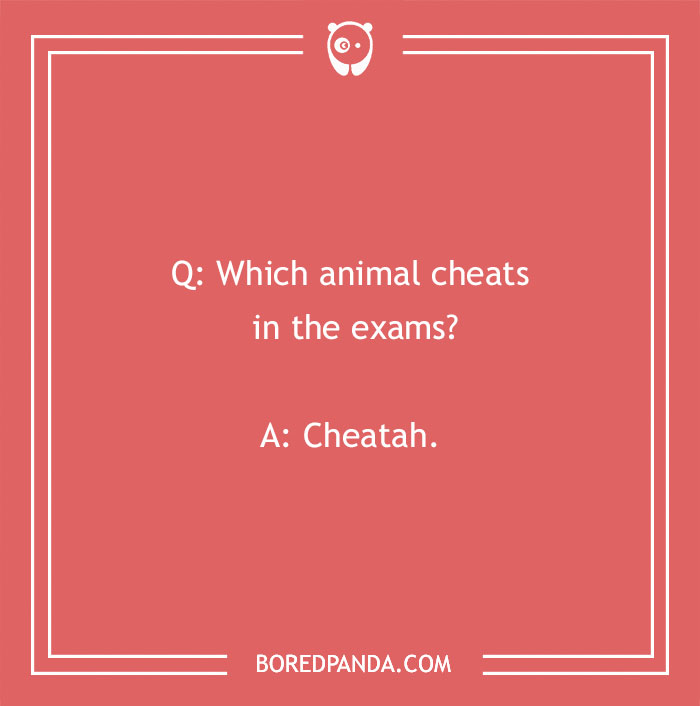 115 School Jokes To Make Your Class Burst Into Laughter