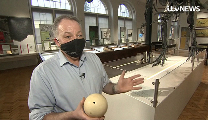 Scientists Unveil “Most Complete Dinosaur Embryo Ever,” Solving Mysteries About Species Growth Scientists Unveil “Most Complete Dinosaur Embryo Ever,” Solving Mysteries About Species Growth