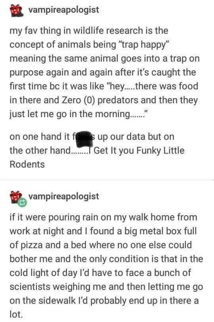 Sharing-Wholesome-Things