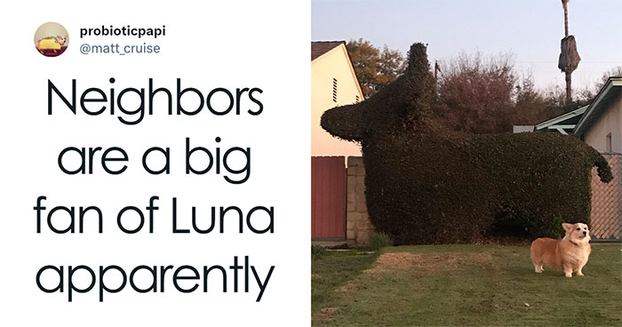 ‘Wait… This Is Wholesome’: 37 Posts To Look At If You’re Feeling Blue (New Pics)