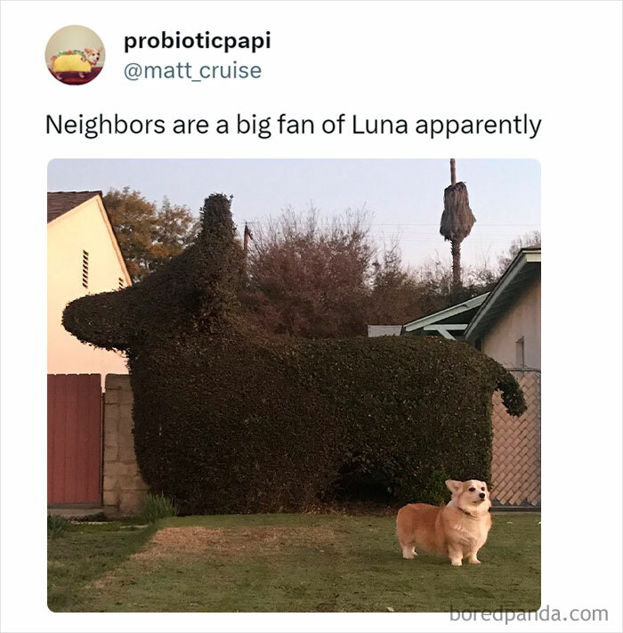 Sharing-Wholesome-Things