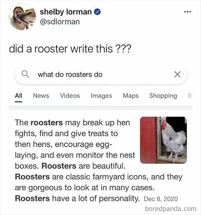 Sharing-Wholesome-Things