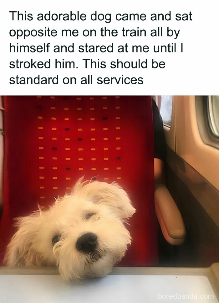 Sharing-Wholesome-Things