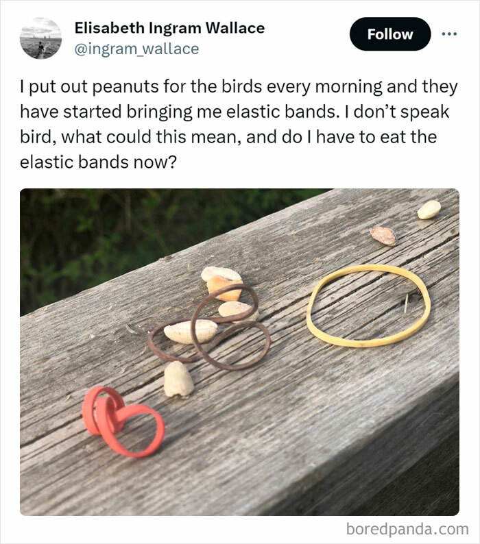 Sharing-Wholesome-Things