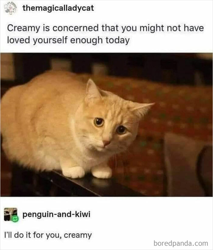 Sharing-Wholesome-Things