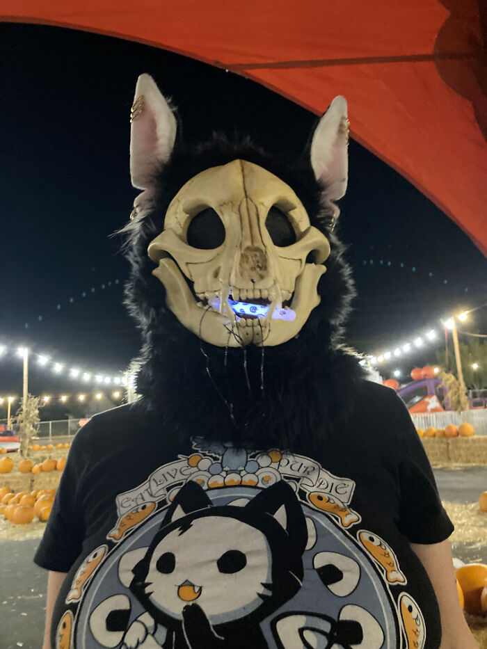 Skulldog! Everything Was Made By Me Except The Skull Base Itself, Which Is A Resin Mask Blank From Dreamvision Creations! (I Stained/Painted The Mask Myself, Too)