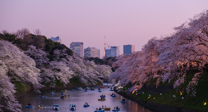 People on the boats in the river surrounded by blooming trees 