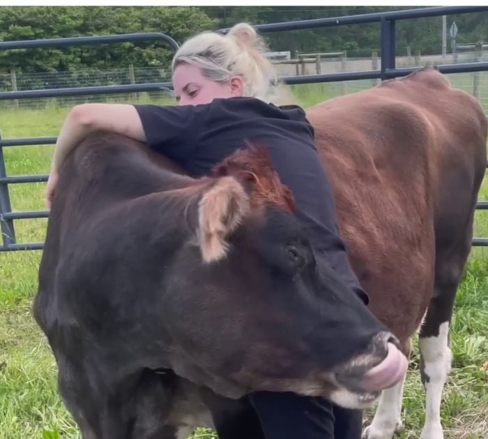 This Blind Cow Can&rsquo;t Stop Cuddling With The People Who Rescued Her From A Dairy Farm