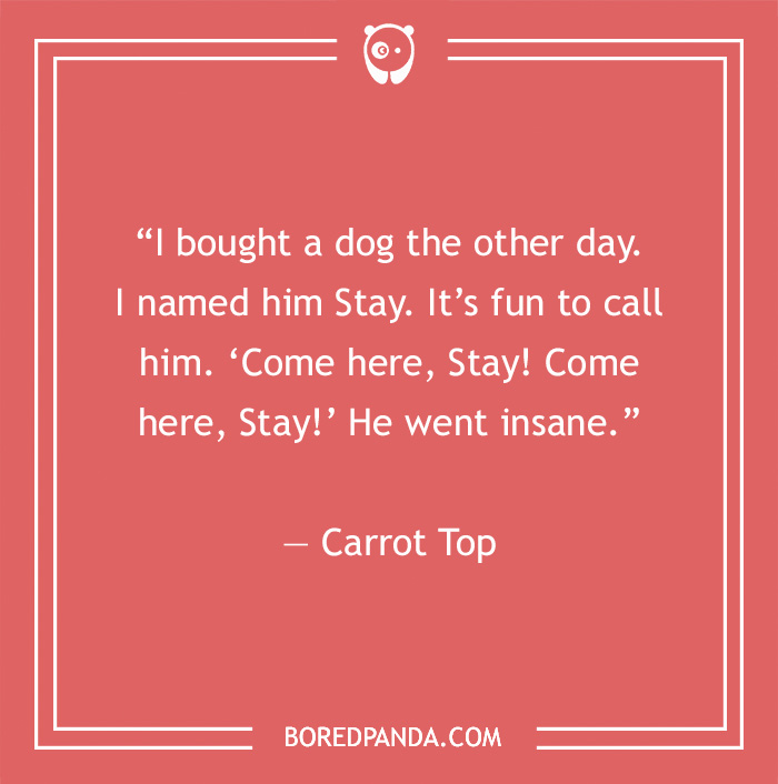 Text on a red background with a stand-up comedy joke by a comedian about naming a dog "Stay."