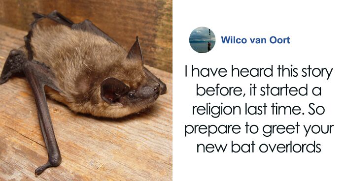 These Bats’ Tools Are Too Big To Reproduce Like Other Mammals, Scientists Find Out How They Do It