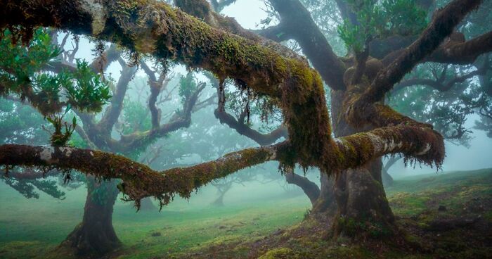 50 Photos Of Mother Earth From This Online Page That Prove Nature Is Lit