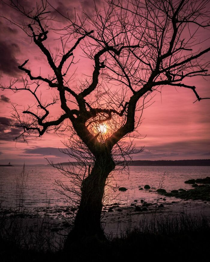 When You're At The Right Place At Just The Right Time. Gloucester, Massachusetts