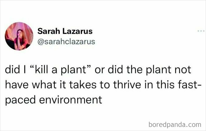 Tastes-Like-Sarcasm-Relatable-Memes