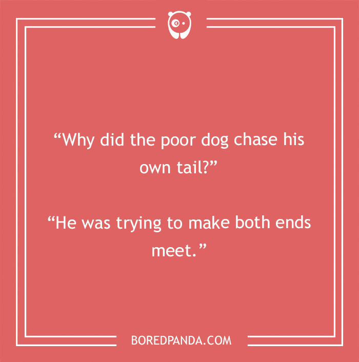 Dog chasing his tail pun 